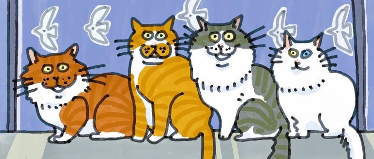 Are Cats Colorblind? What Does the World Look Like Through Their Eyes?