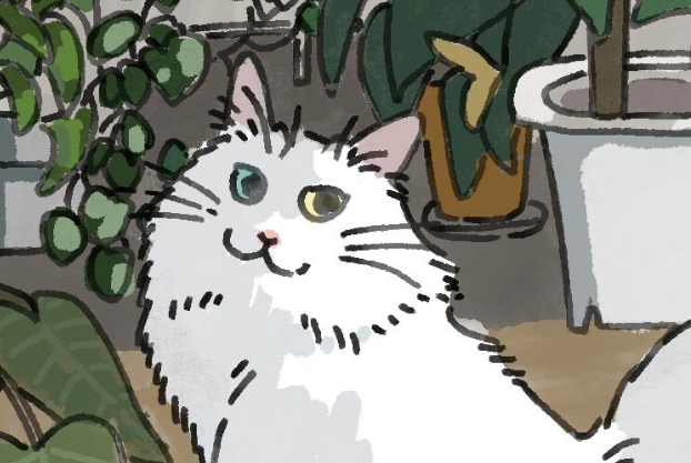 How Good Is a Kitten’s Memory, Really?