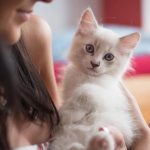 Does Your Cat Have a ‘Stethoscope’? It Can Detect My Pregnancy in One Second!