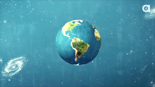 The Future Guide to Cat Cuddling