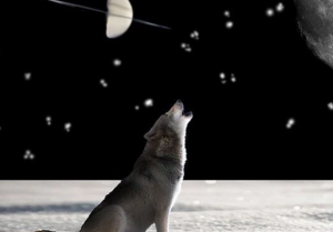 Why Dogs Are Born Smart and Have Human-Like Traits: After Seeing Their ‘Family Tree,’ You’ll Believe It