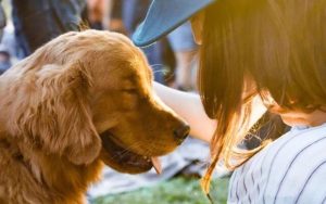 Can Dogs Tell If Their Owner Is Male or Female?